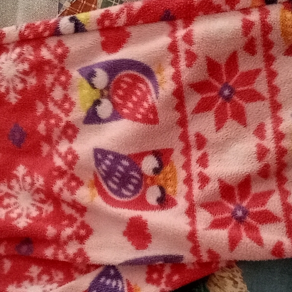 Bundle of Two,Cute Soft & Cozy, Fleece,Big Girls,PJ Bottoms with Owls,Size 7(S) - Picture 6 of 12